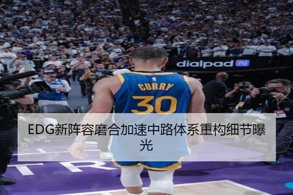 EDG新阵容磨合加速中路体系重构细节曝光